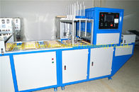 De multifunctionele Automatische Machine van de Blaarverpakking voor Kop Tray Box